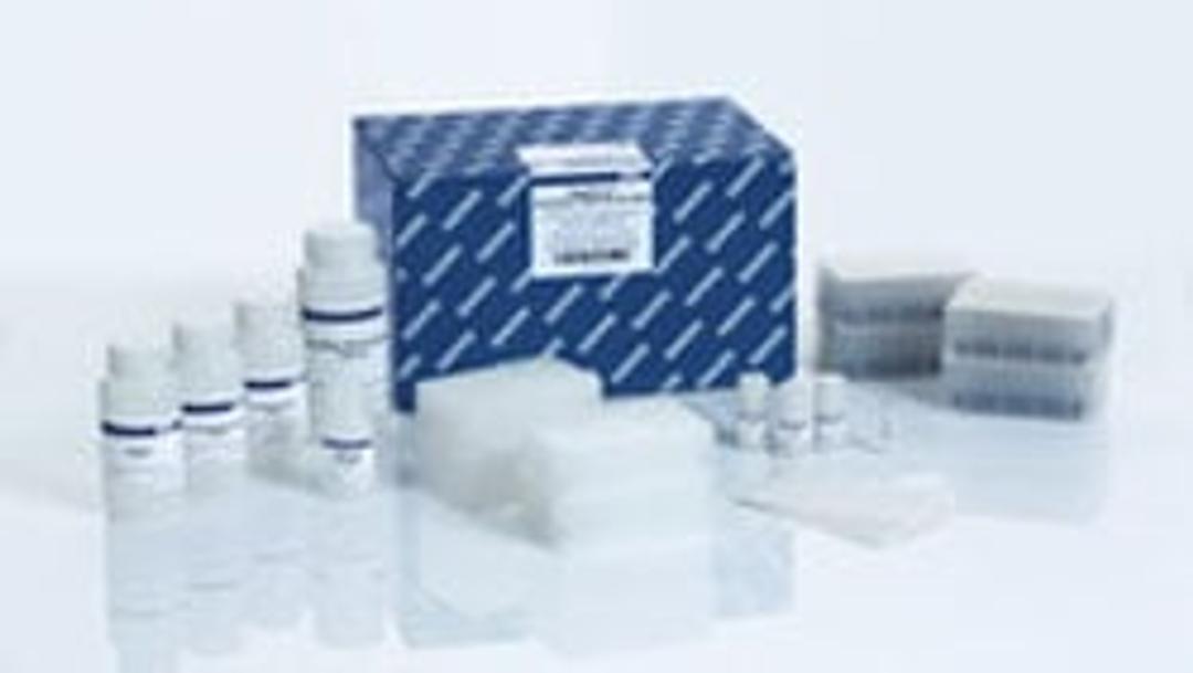 MagAttract PowerSoil DNA KF Kit - QIAGEN