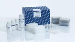 MagAttract PowerSoil DNA KF Kit - QIAGEN