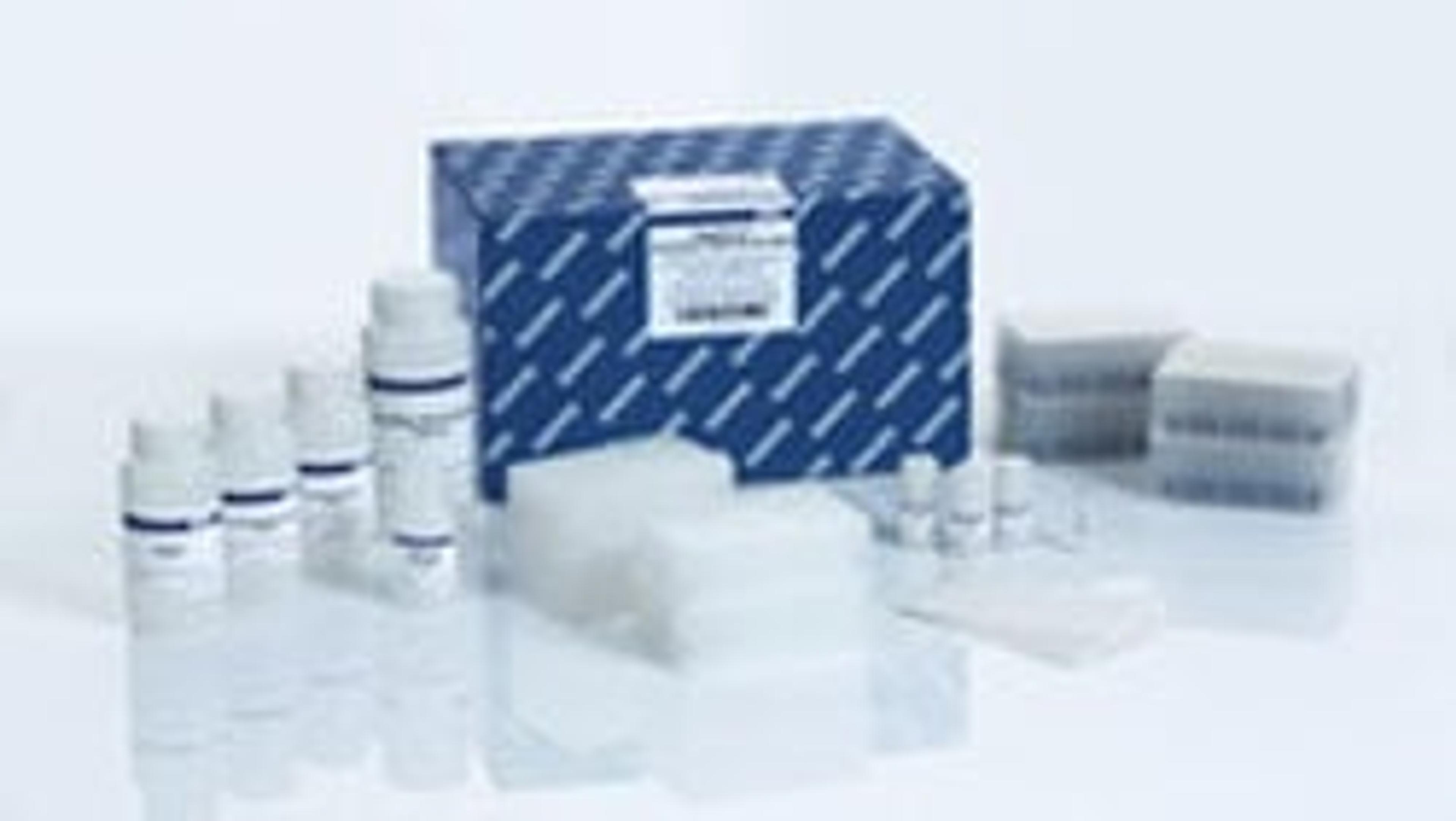 MagAttract PowerSoil DNA KF Kit - QIAGEN