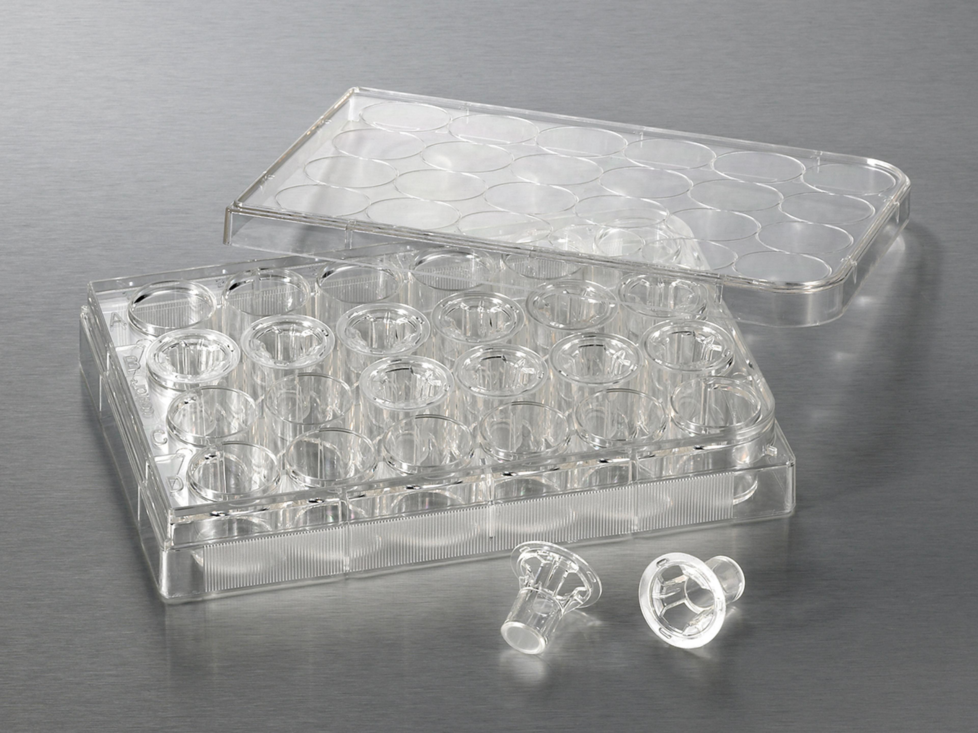 6.5 mm Transwell® with 0.4 µm Pore Polycarbonate Membrane Insert, Sterile - Corning Life Sciences - Life Sciences