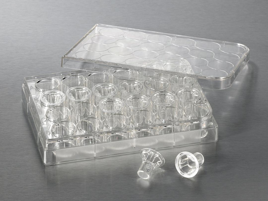 6.5 mm Transwell® with 0.4 µm Pore Polycarbonate Membrane Insert, Sterile - Corning Life Sciences - Life Sciences