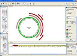 CLC DNA Workbench Software - CLC bio - Life Sciences