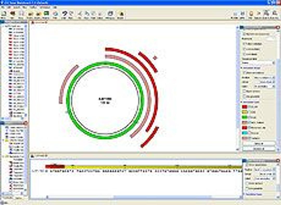 CLC DNA Workbench Software - CLC bio - Life Sciences