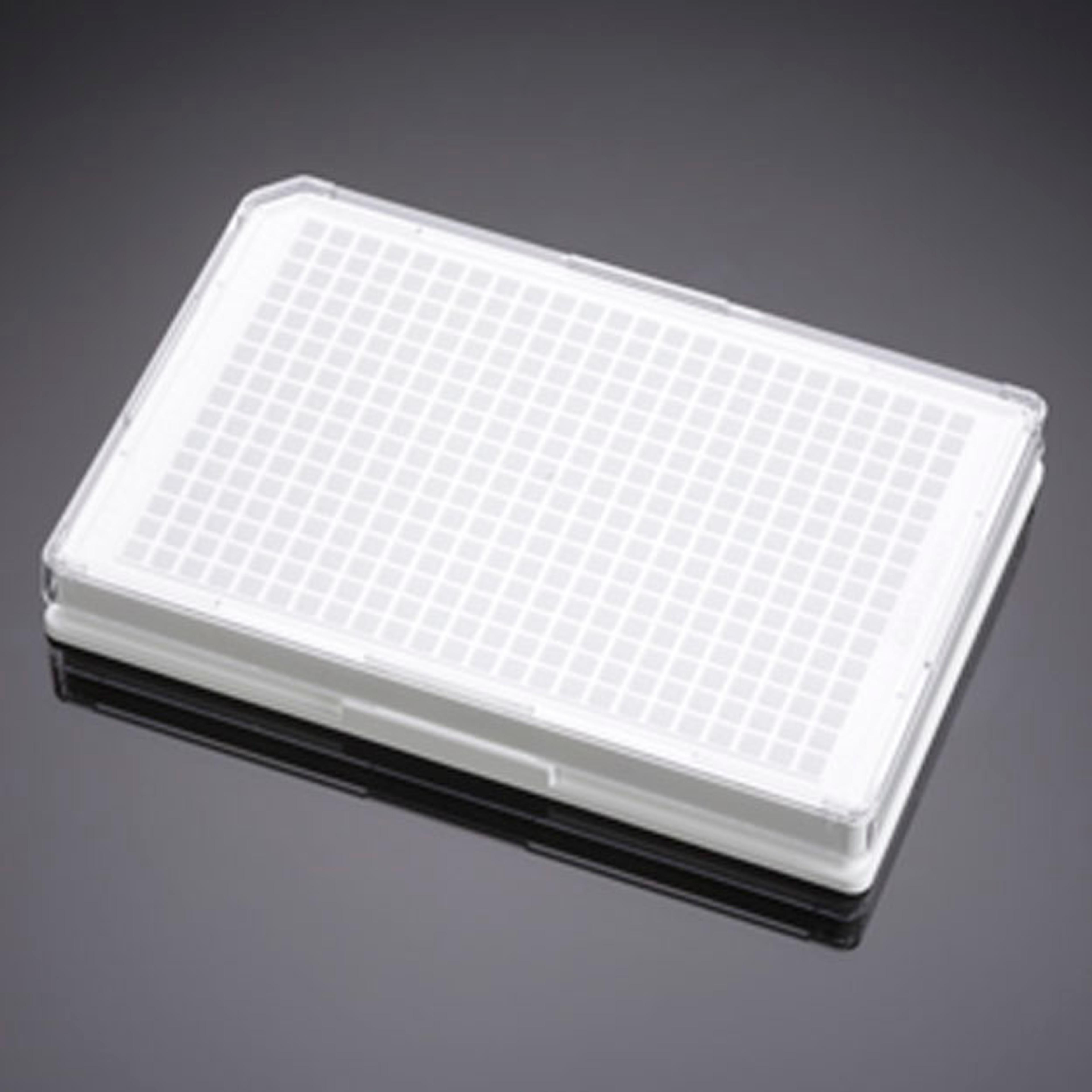 Corning® BioCoat® Poly-D-Lysine 384-well White Flat Bottom TC-treated Microplate, with Lid, 5/Case - Corning Life Sciences - Life Sciences