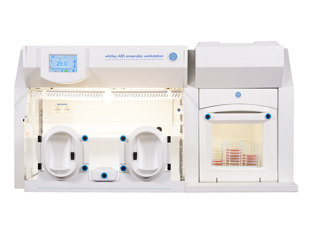 Whitley A85 Workstation - Don Whitley Scientific - General Lab