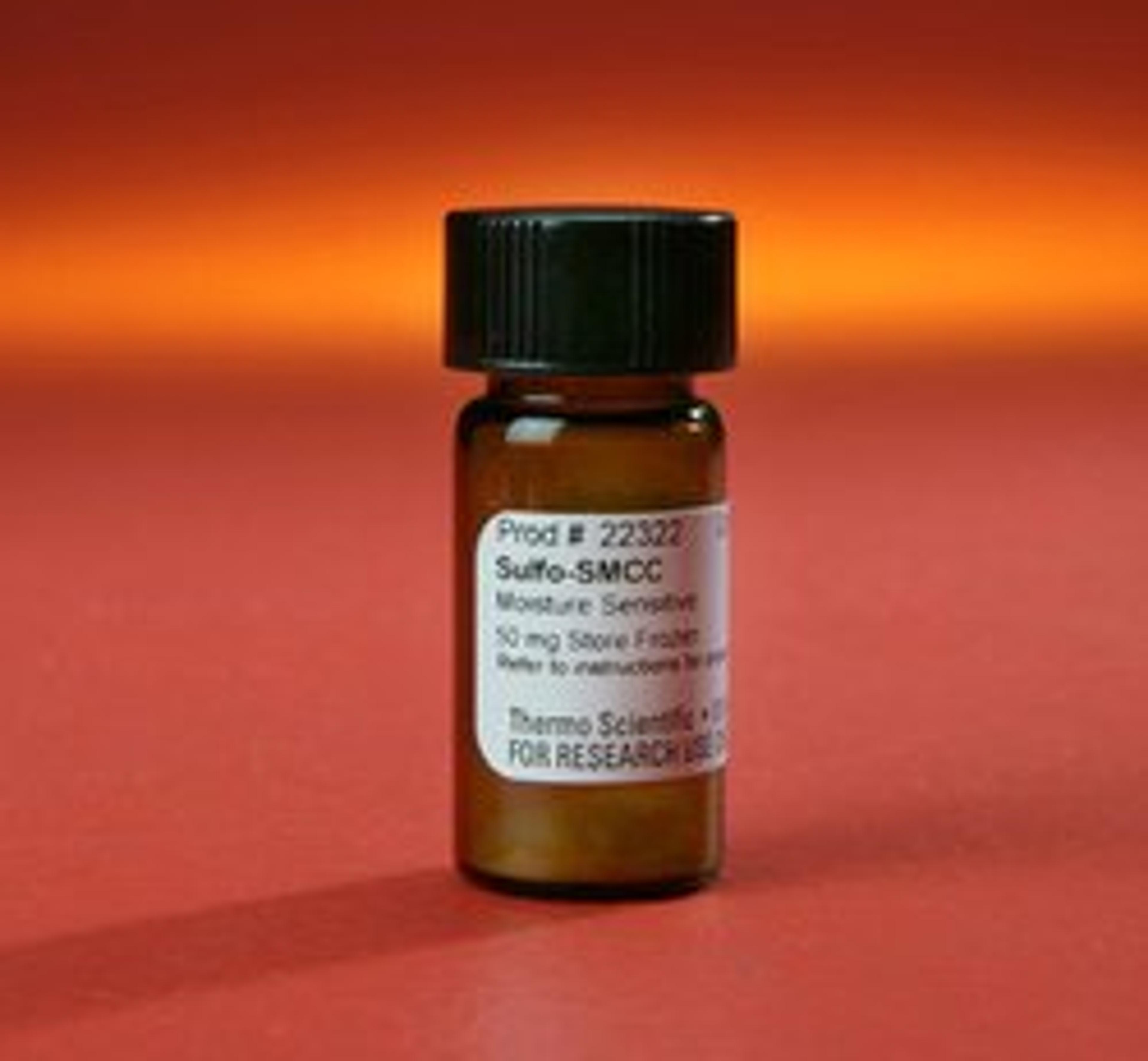 Thermo Scientific™ Sulfo-SMCC (sulfosuccinimidyl 4-(N-maleimidomethyl)cyclohexane-1-carboxylate) - Thermo Fisher Scientific - Life Sciences