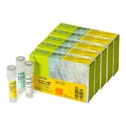 iScript™ cDNA Synthesis Kit, 500 µl (170-8891BUN) - Bio-Rad - Life Sciences