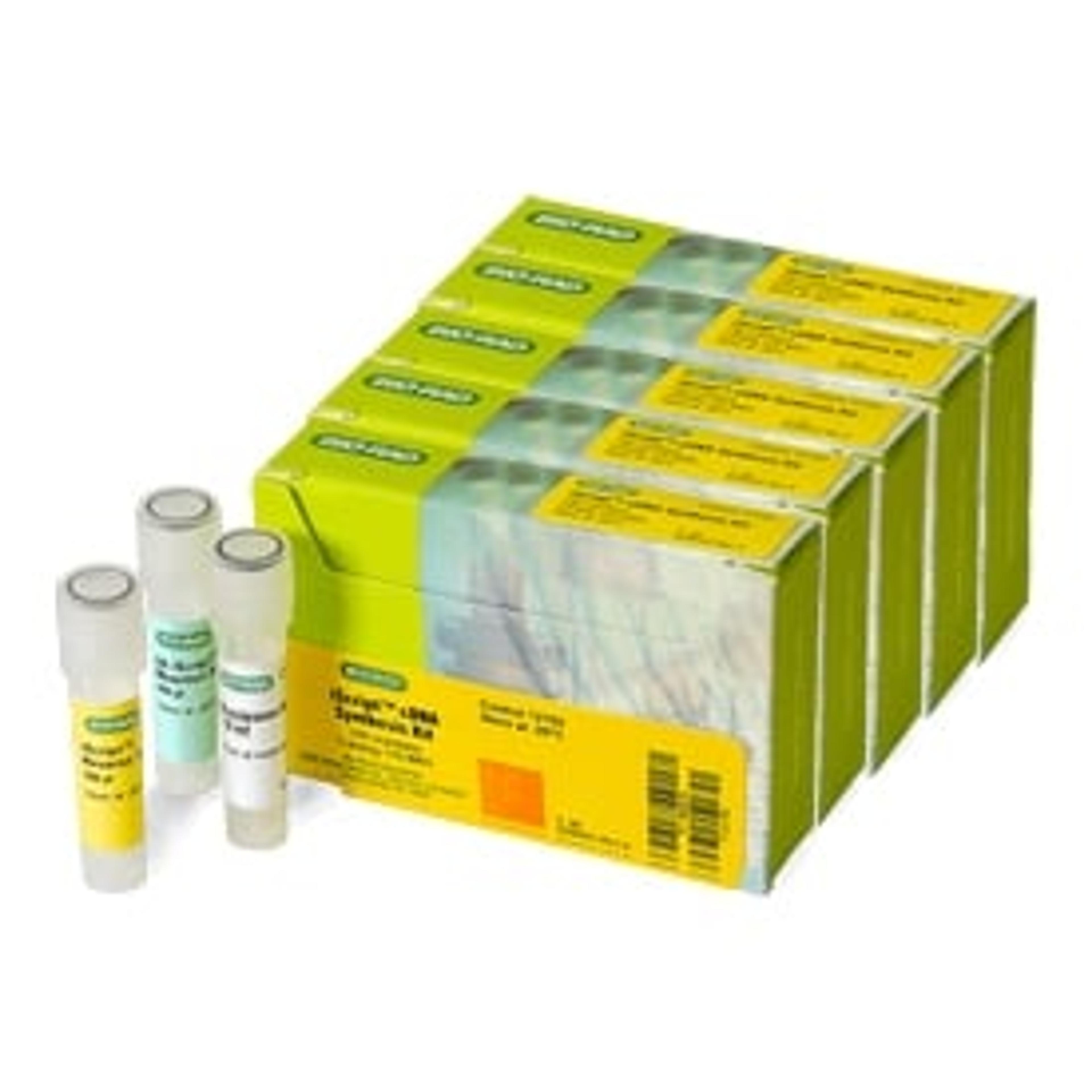 iScript™ cDNA Synthesis Kit, 500 µl (170-8891BUN) - Bio-Rad - Life Sciences