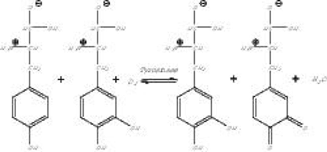 Tyrosinase from mushroom - Merck KGaA, Darmstadt, Germany - Life Sciences