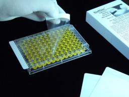 SealPlate® Microplate Sealing Film for ELISA, EIA, Incubation & Storage, Sterile - Excel Scientific, Inc. - Life Sciences