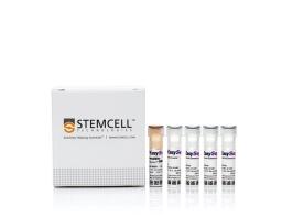 EasySep™ Release Human CD4 Positive Selection Kit - STEMCELL Technologies Inc. - Life Sciences