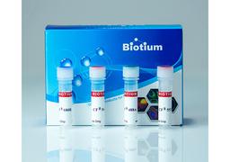 Concanavalin A (Con A) CF® Dye Conjugates - Biotium - Life Sciences