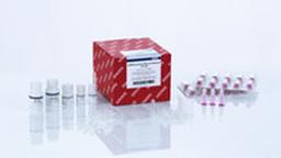 miRNeasy Serum/Plasma Advanced Kit (50) - QIAGEN