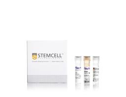 EasySep™ Human CD271 Positive Selection Kit II - STEMCELL Technologies Inc. - Life Sciences