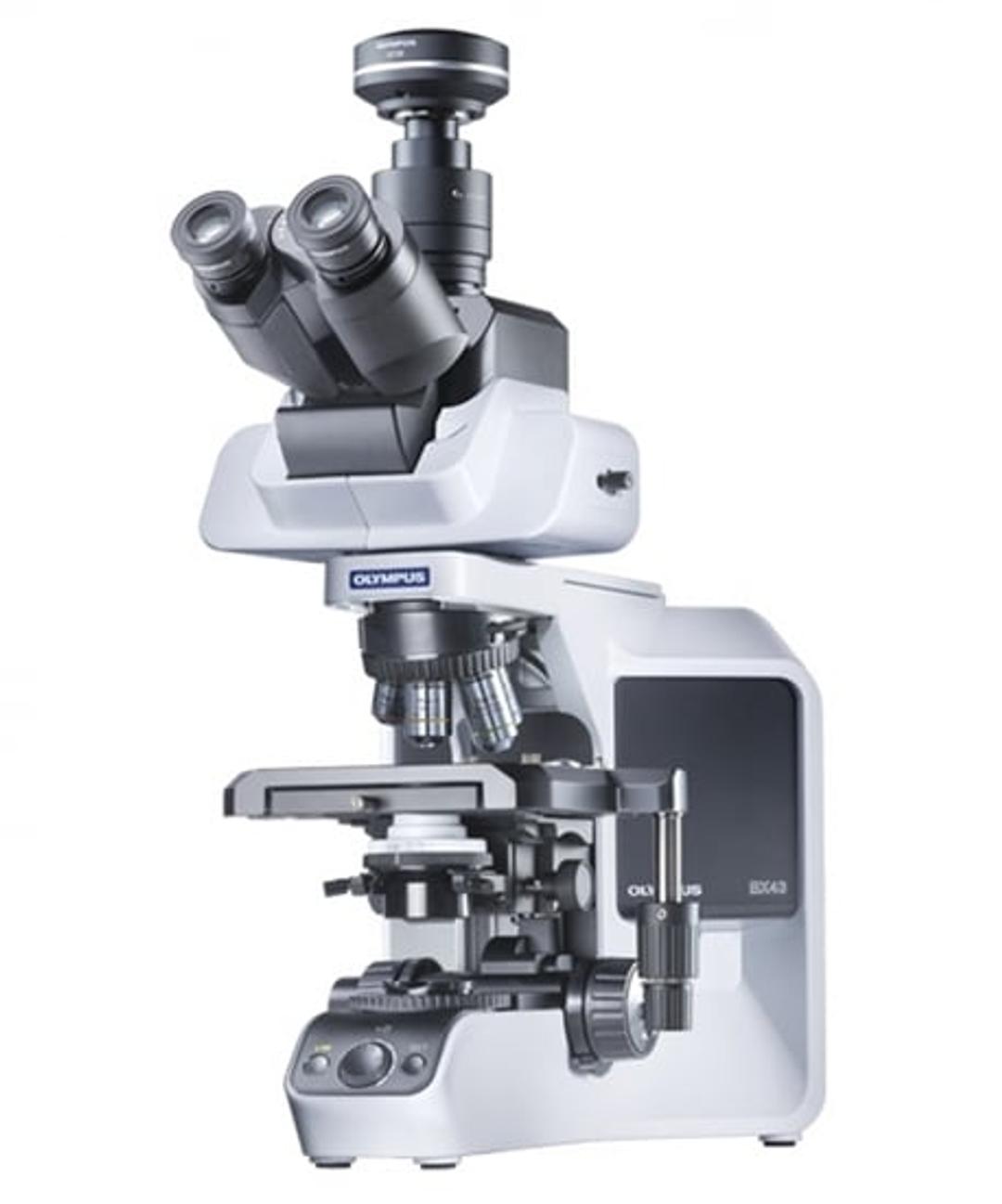 BX43 Manual Upright Microscope - EVIDENT - Life Sciences