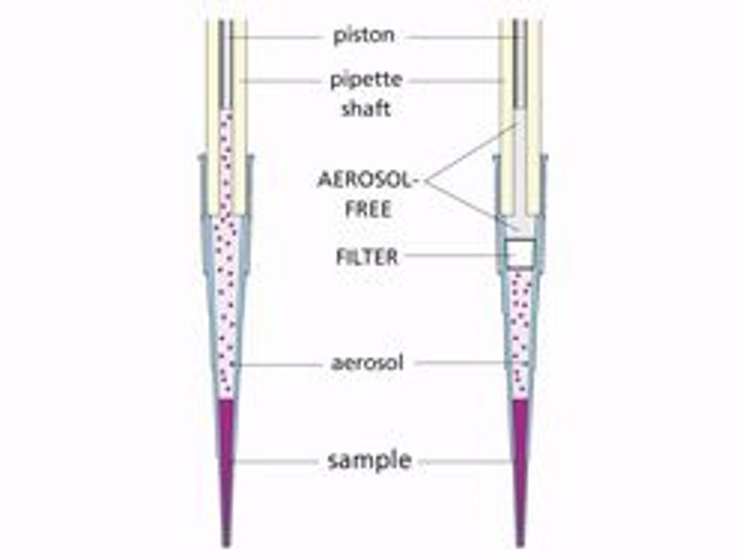 Rainin Pipette Tips 5-200uL Filter Racked pk960 LTS RT-L200F - Rainin - General Lab