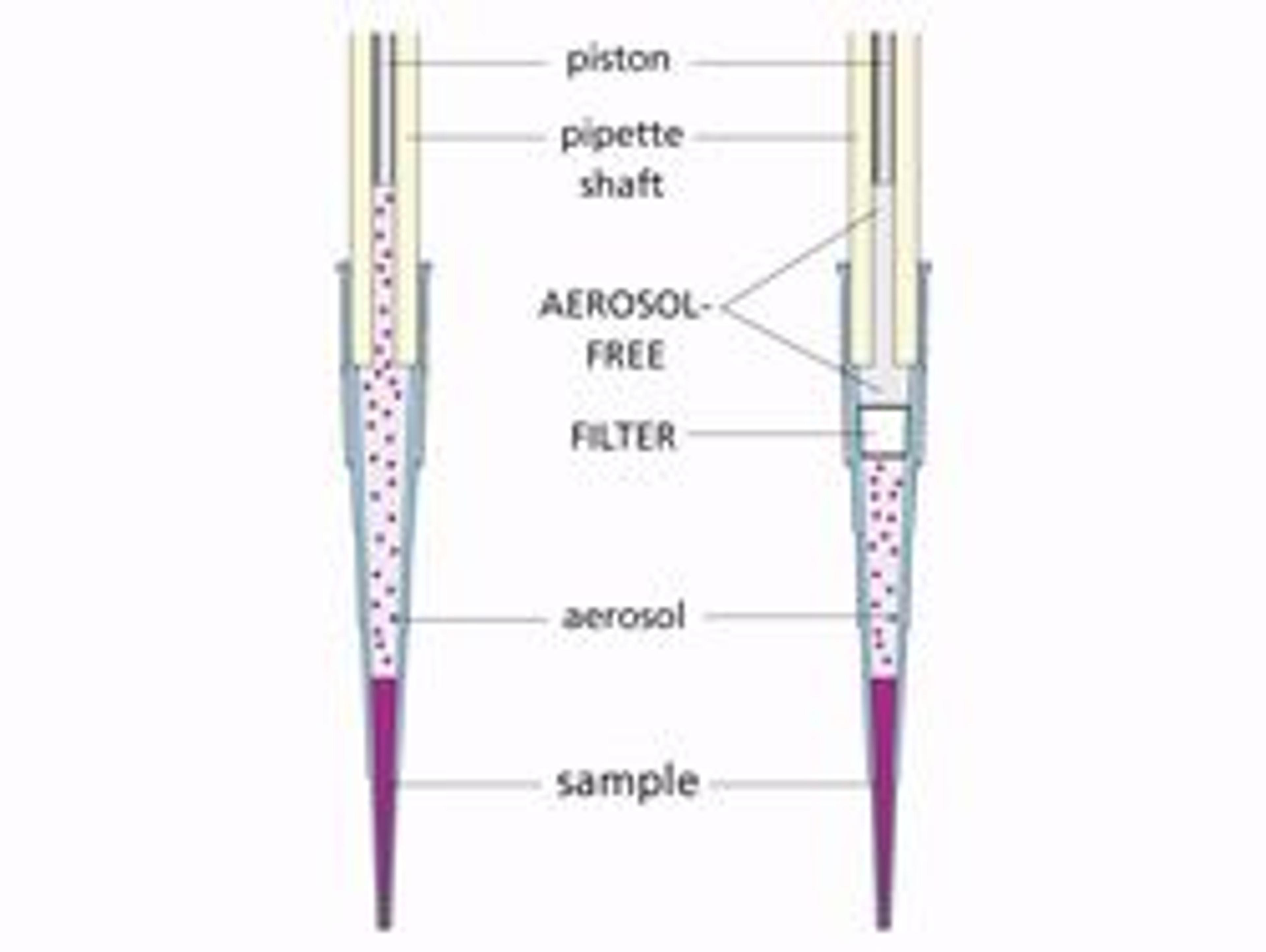 Rainin Pipette Tips 5-200uL Filter Racked pk960 LTS RT-L200F - Rainin - General Lab