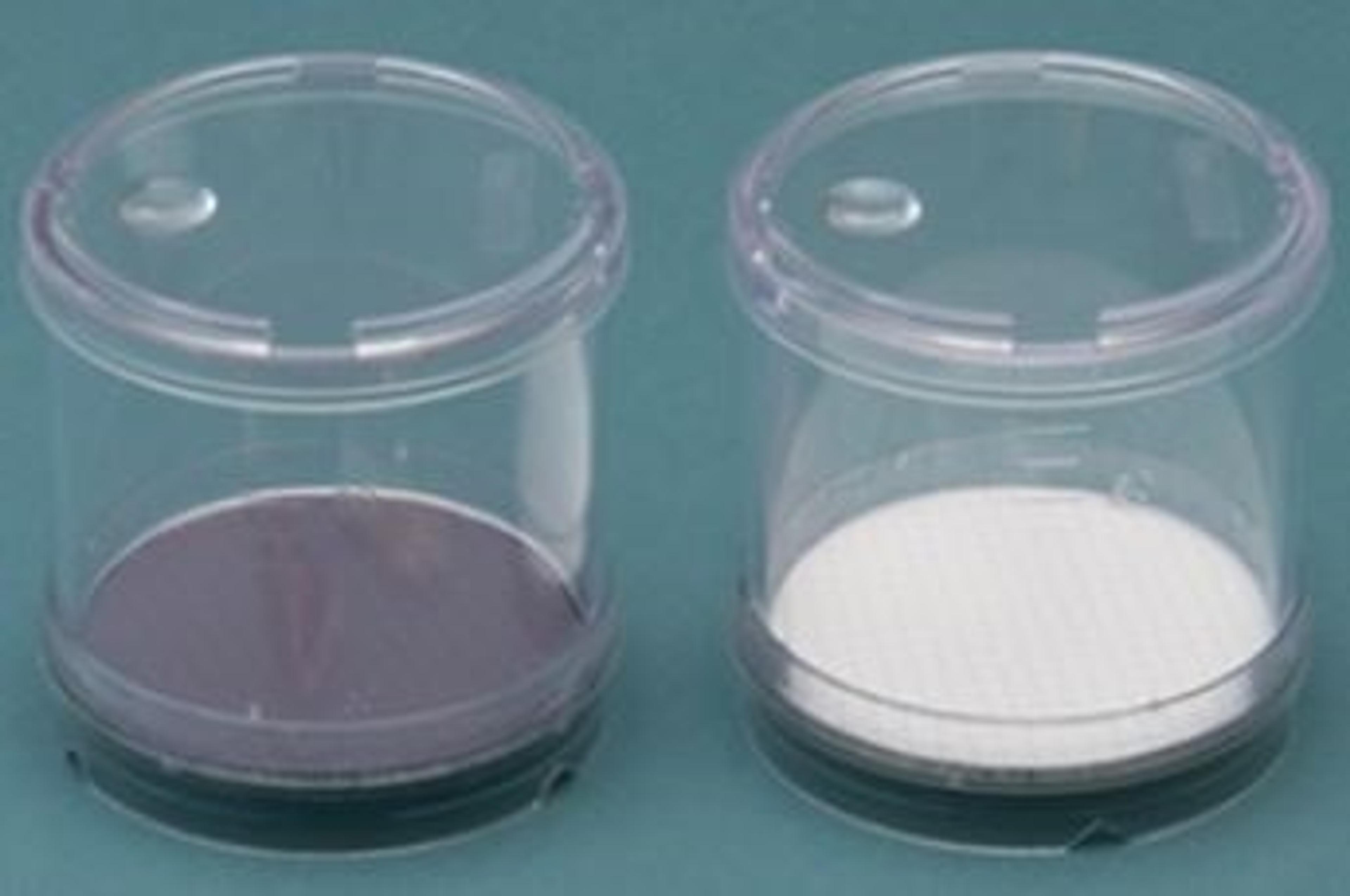 NEOGEN Filter - Neogen Corp.