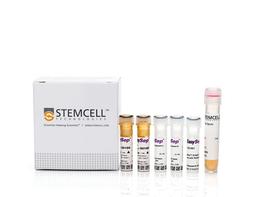 EasySep™ Mouse CD11c Positive Selection Kit II - STEMCELL Technologies Inc. - Life Sciences