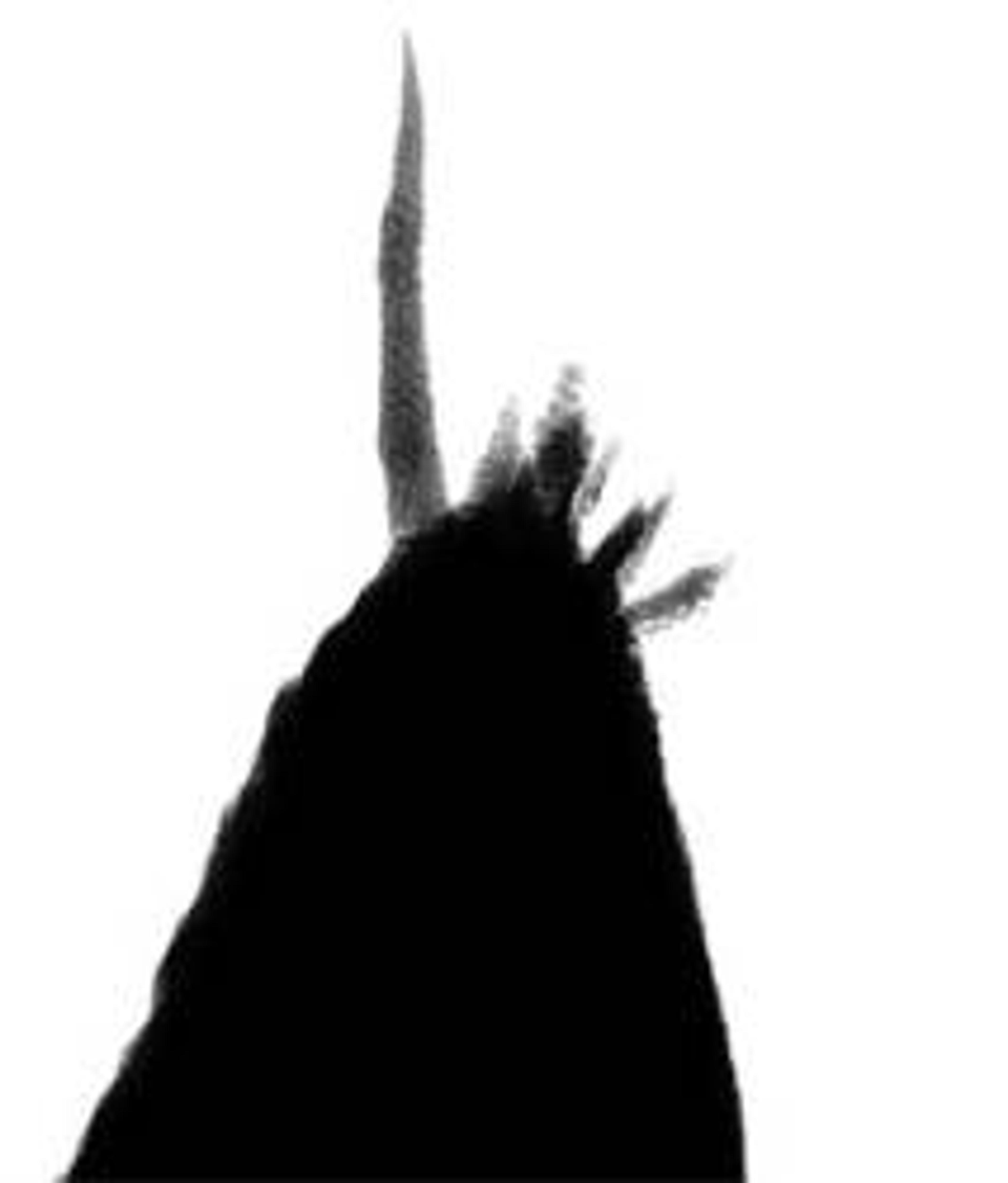 NSG01 DLC AFM Mode Non-Contact Probe - K-TEK Nanotechnology - Life Sciences