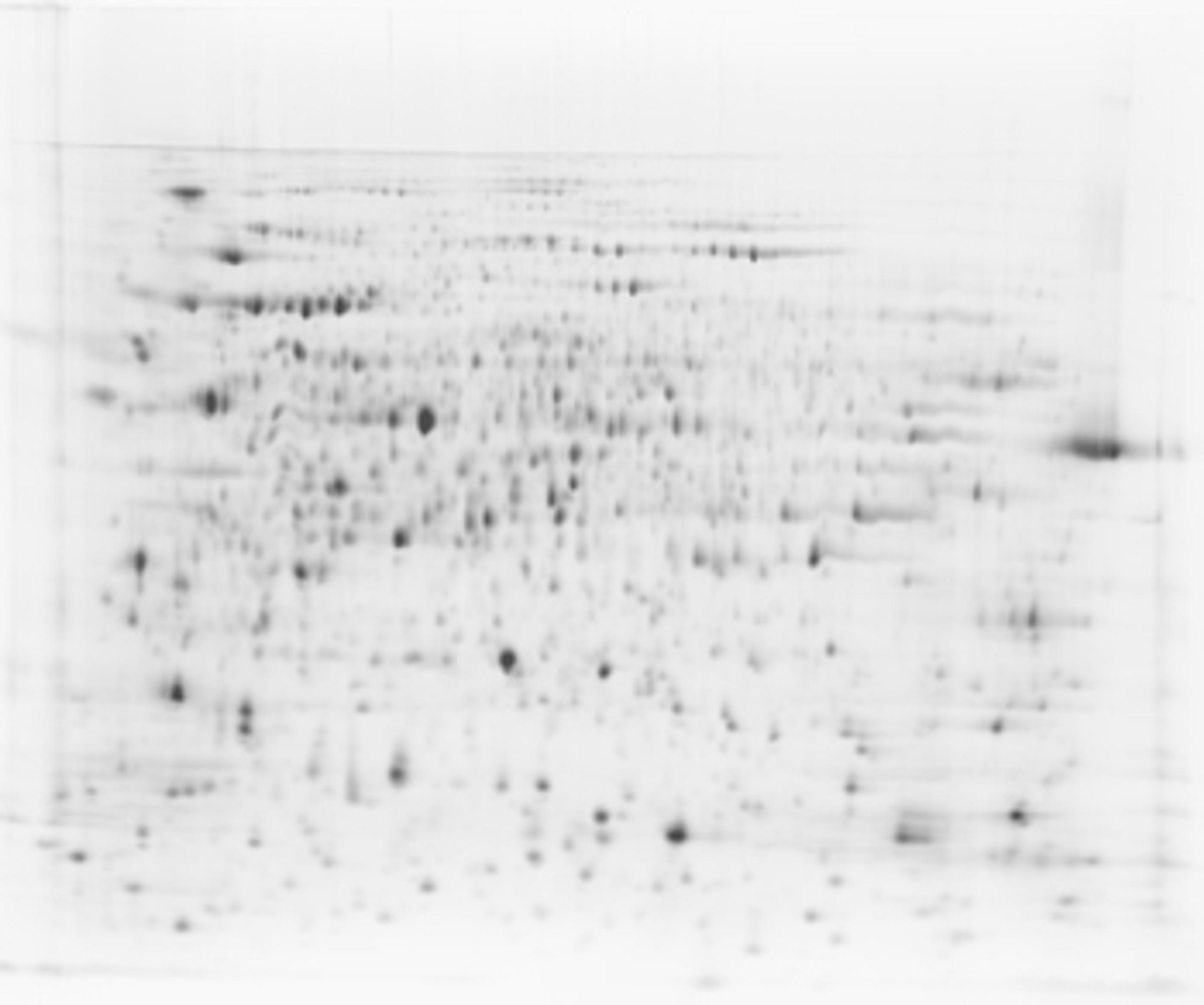 SERVA Lightning SciDye Set - SERVA Electrophoresis GmbH - Life Sciences