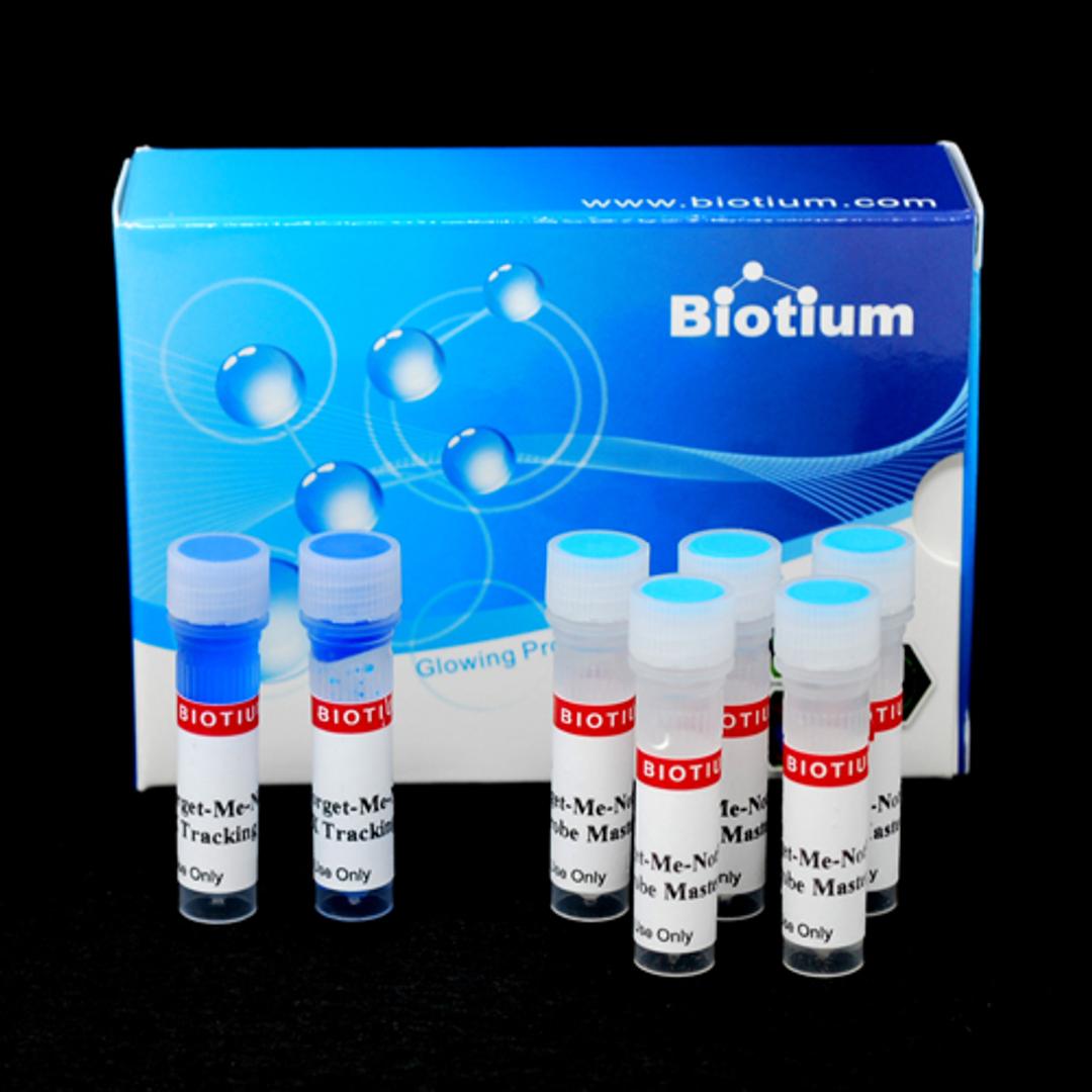 Forget-Me-Not™ Universal Probe qPCR Master Mix - Biotium - Life Sciences