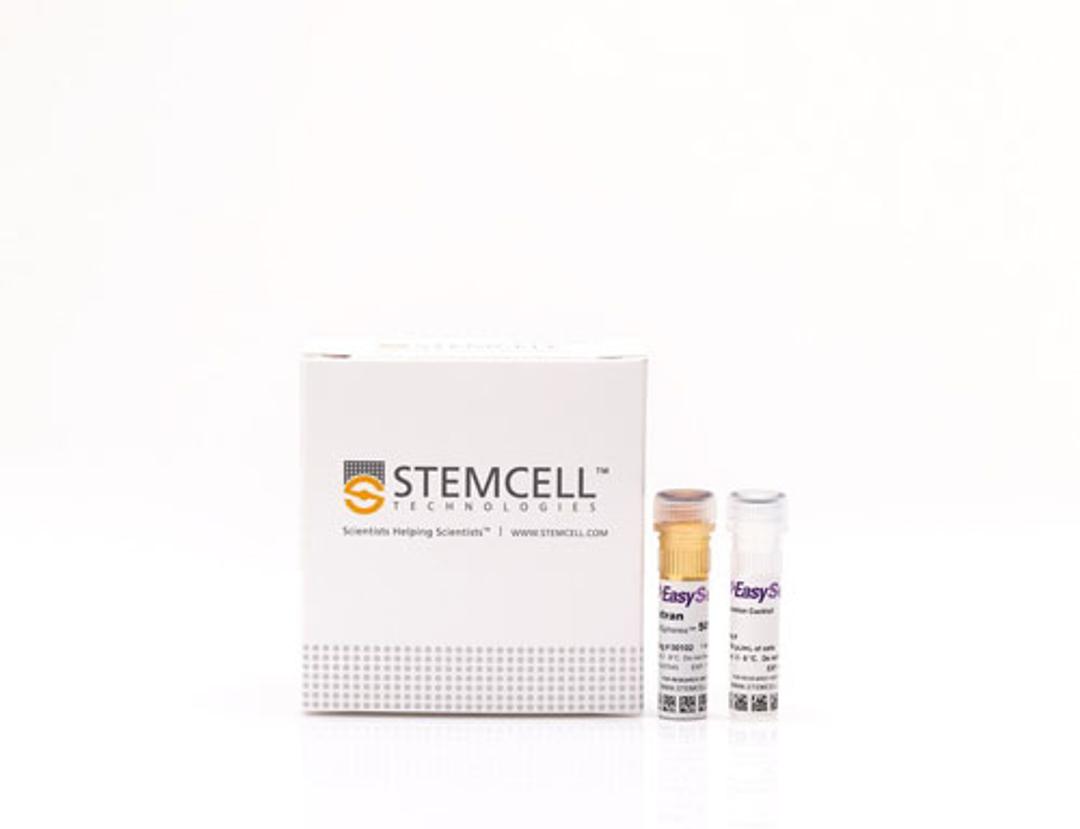 EasySep™ Rat T Cell Isolation Kit - STEMCELL Technologies Inc. - Life Sciences