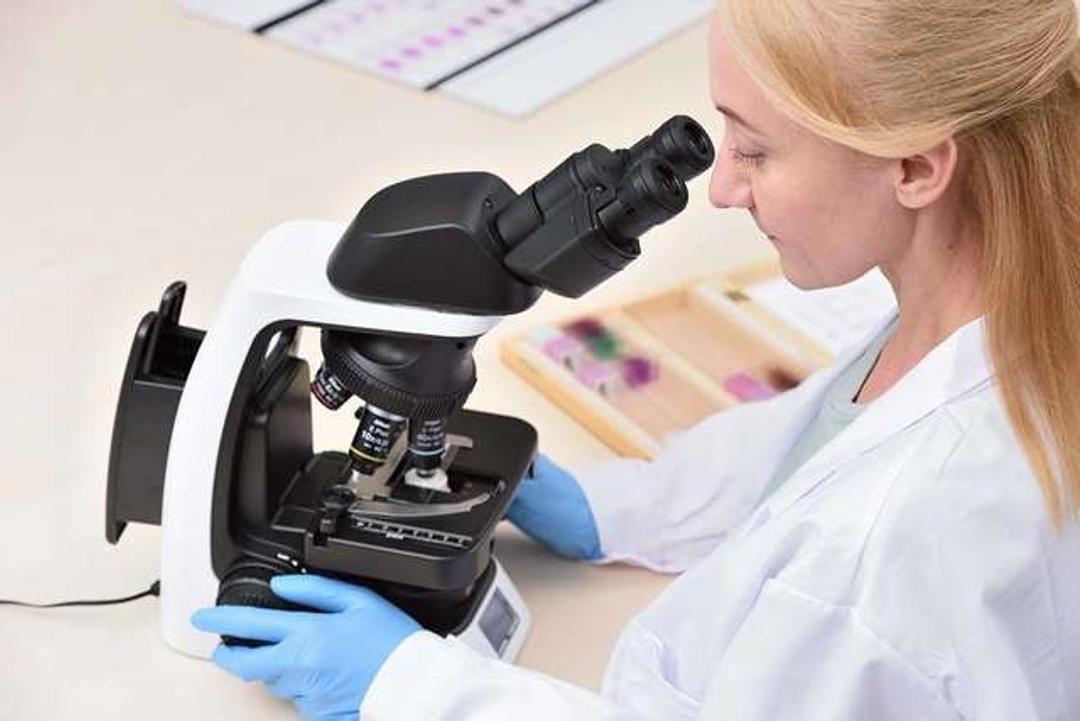 Eclipse Si Upright Microscope - Nikon Healthcare Business – Microscope Solutions - Life Sciences