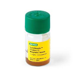 SureBeads™ Protein G Magnetic Beads, 3 ml - Bio-Rad - Life Sciences