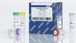 Taq PCR Core Kit (1000 U) - QIAGEN