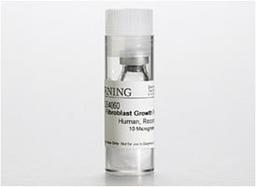 Corning® Basic Fibroblast Growth Factors (bFGF), Human Recombinant, 10µg, 1/Pack - Corning Life Sciences - Life Sciences