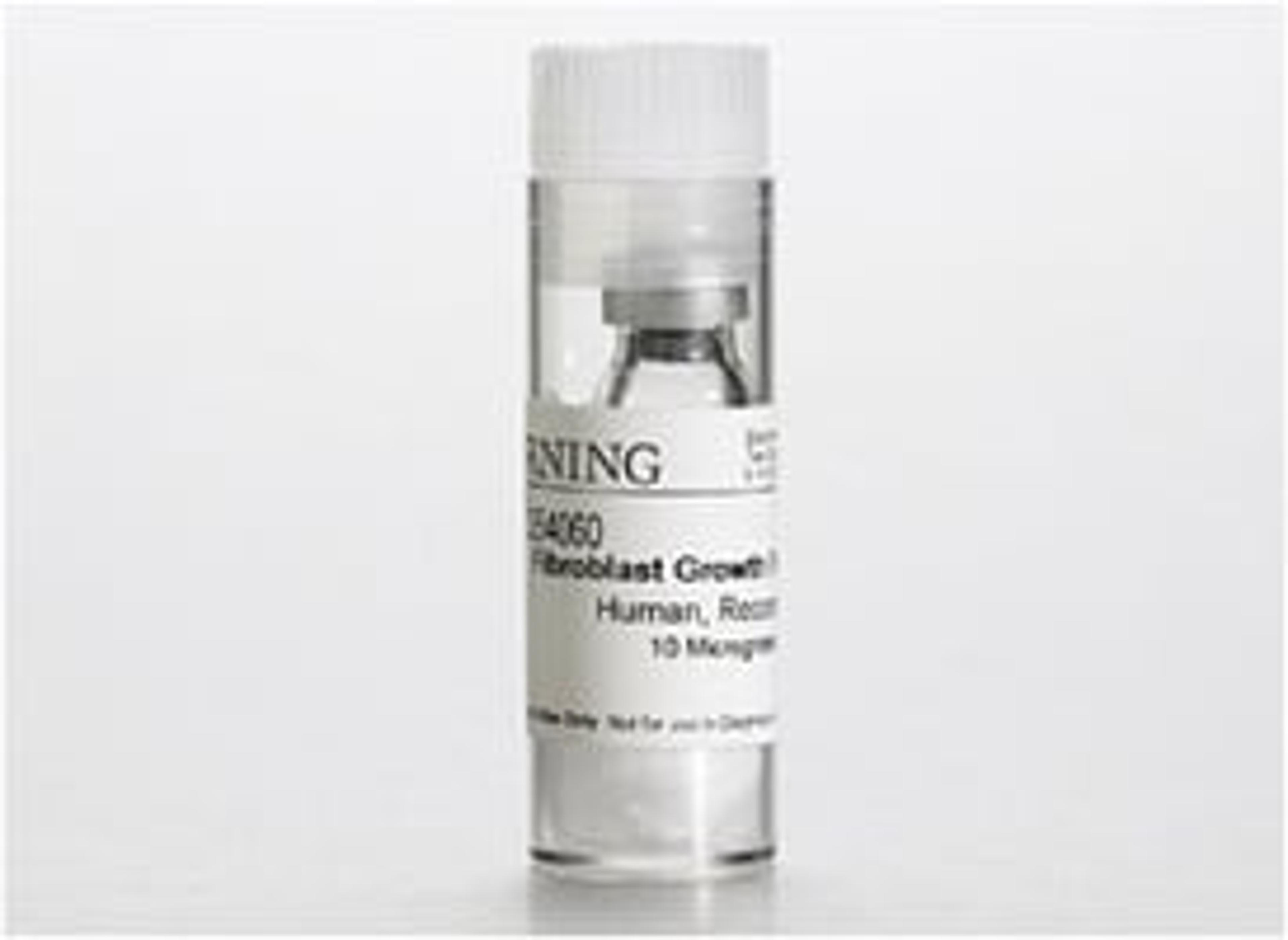 Corning® Basic Fibroblast Growth Factors (bFGF), Human Recombinant, 10µg, 1/Pack - Corning Life Sciences - Life Sciences