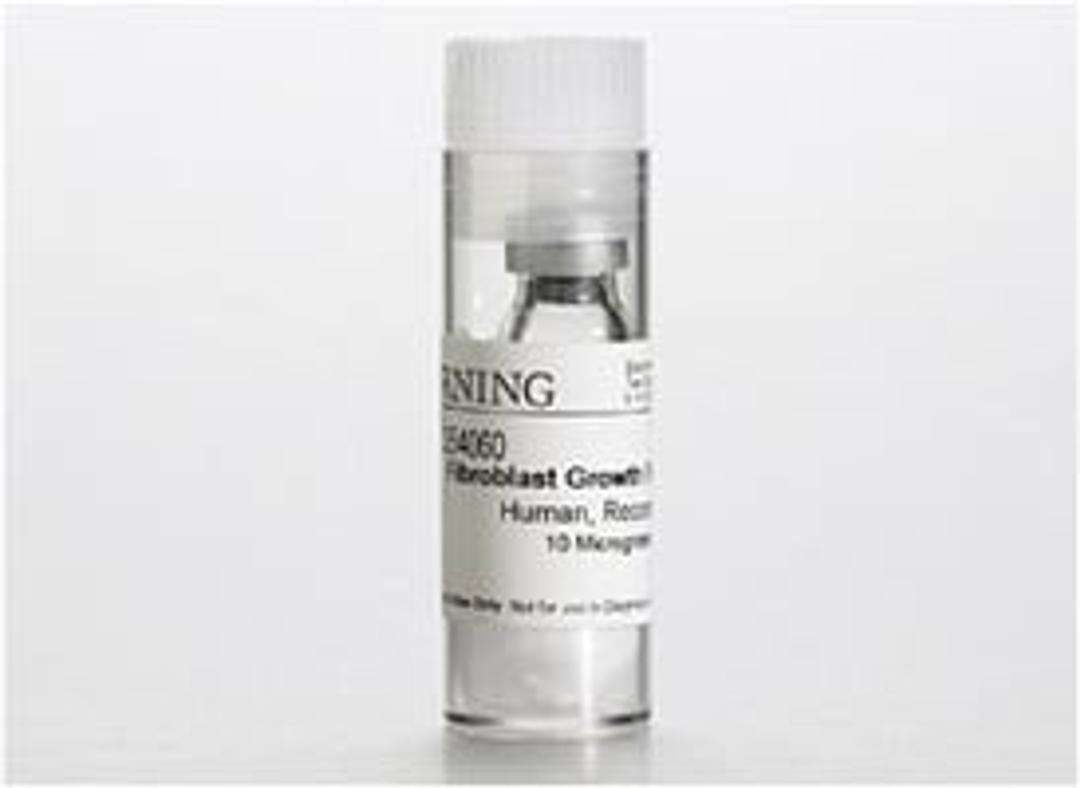 Corning® Basic Fibroblast Growth Factors (bFGF), Human Recombinant, 10µg, 1/Pack - Corning Life Sciences - Life Sciences