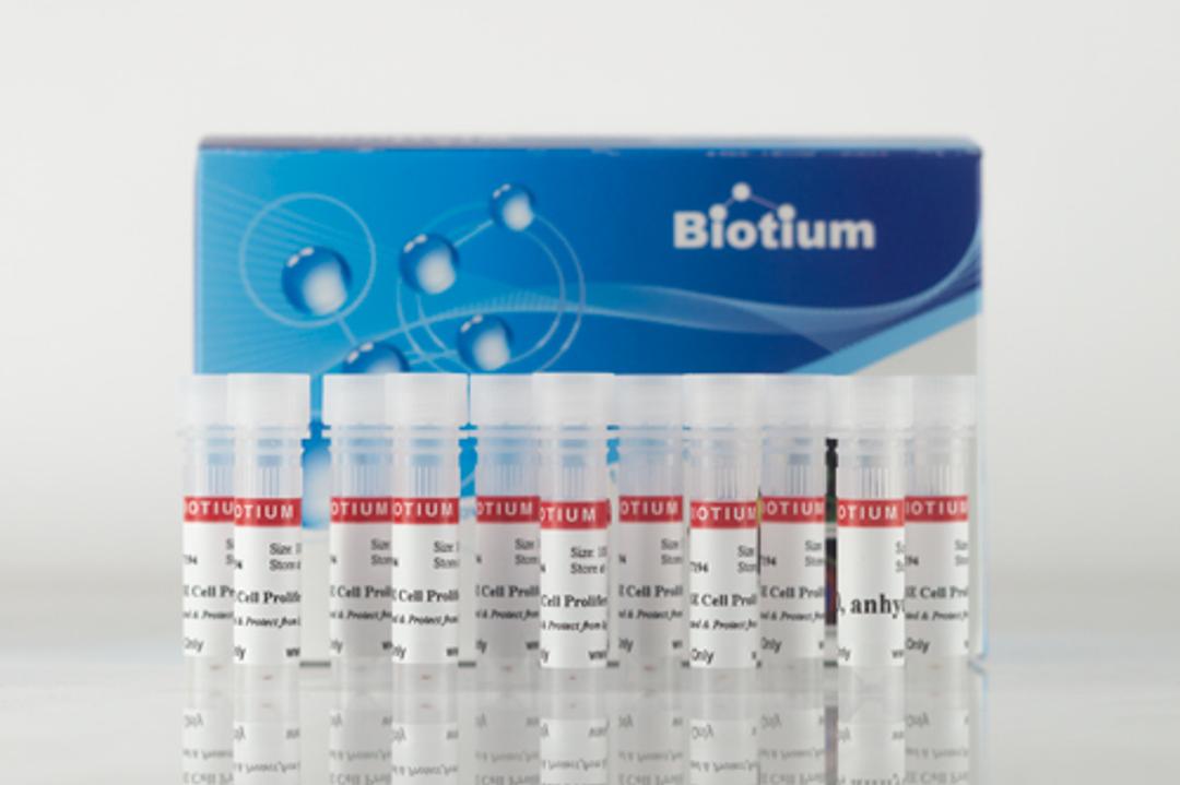 ViaFluor® SE Cell Proliferation Kits - Biotium - Life Sciences