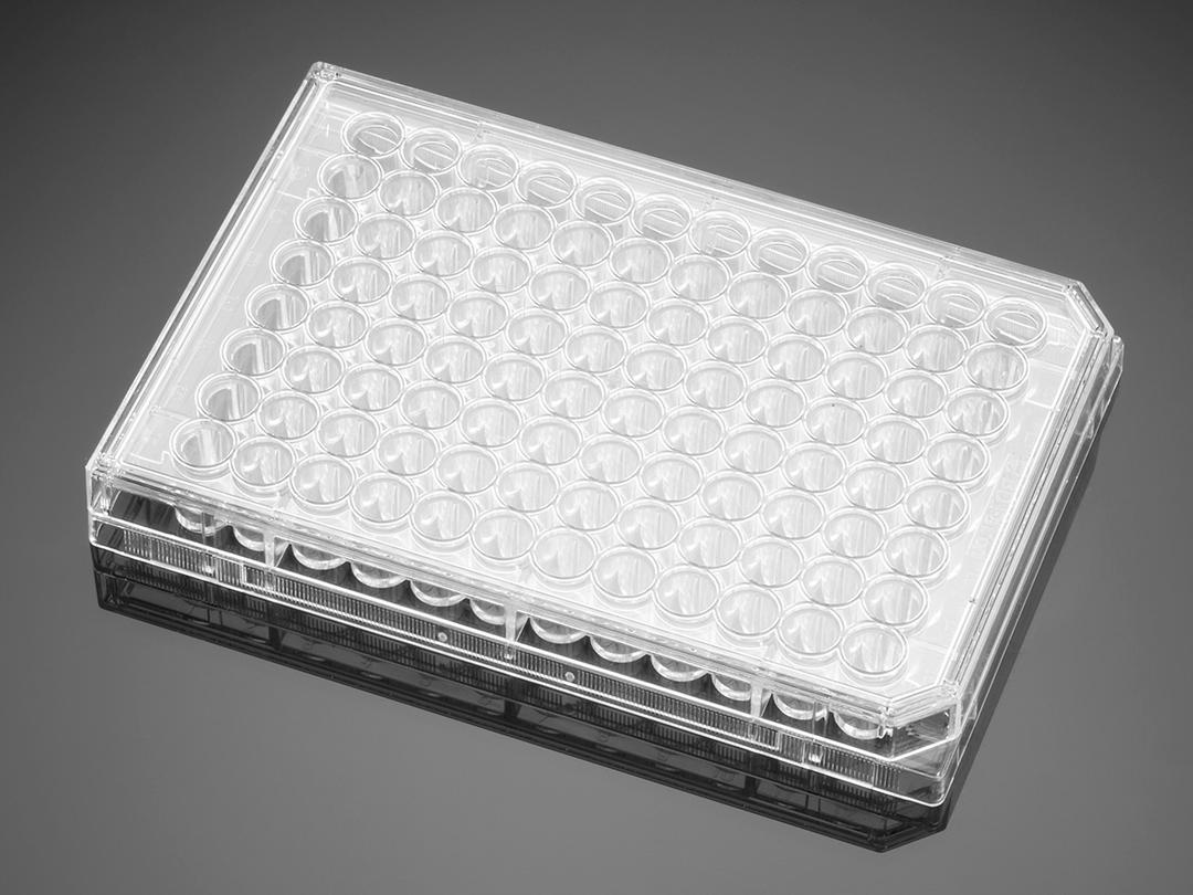Corning® BioCoat™ Collagen I 48-well Clear Flat Bottom TC-treated Multiwell Plate, with Lid, Nonsterile, 10 sleeves of 5, 50/cs - Corning Life Sciences - Life Sciences