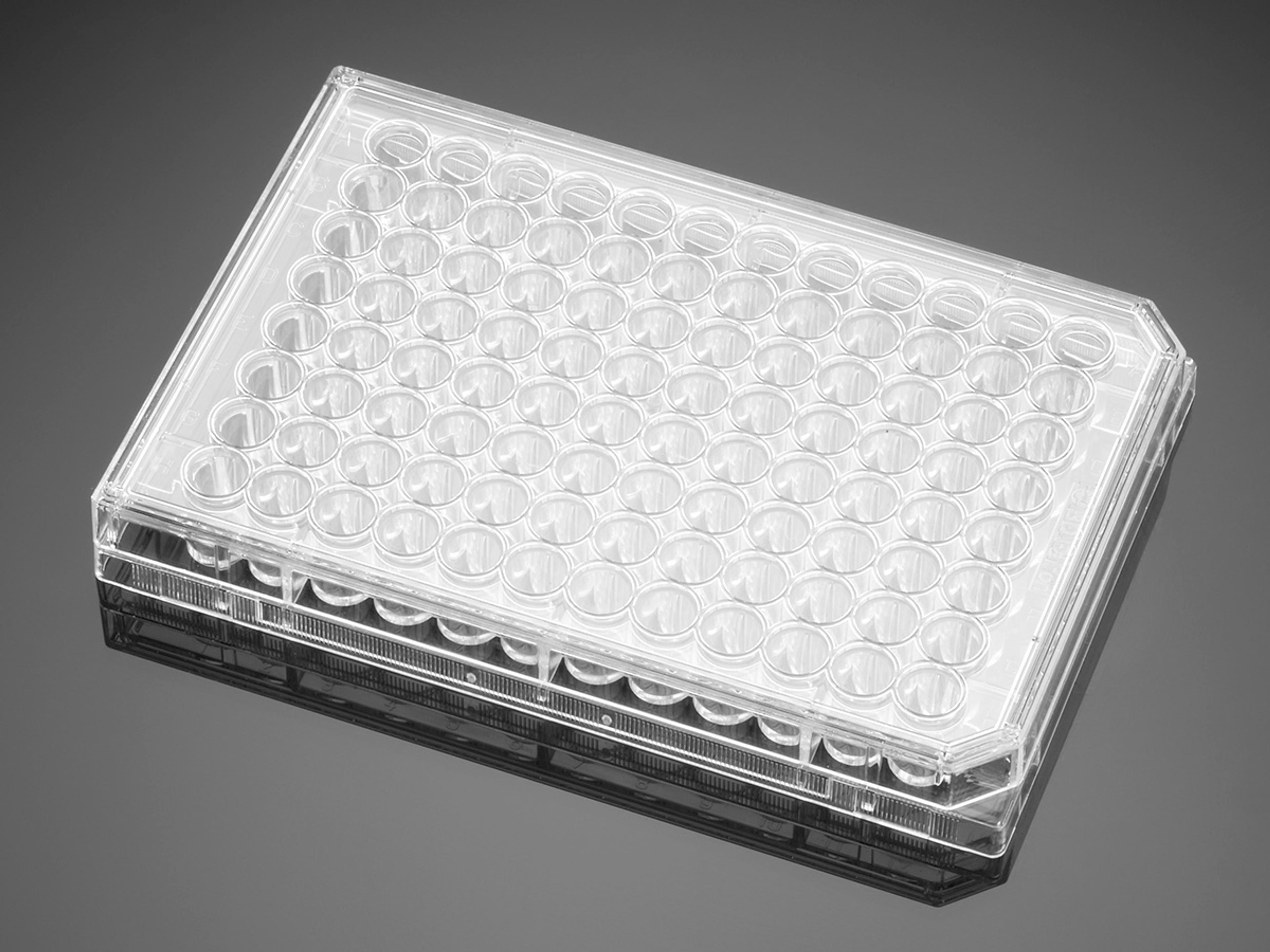 Corning® BioCoat™ Collagen I 48-well Clear Flat Bottom TC-treated Multiwell Plate, with Lid, Nonsterile, 10 sleeves of 5, 50/cs - Corning Life Sciences - Life Sciences