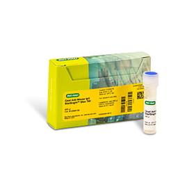 StarBright™ Blue 700 Goat Anti-Mouse IgG, 400 µl - Bio-Rad - Life Sciences