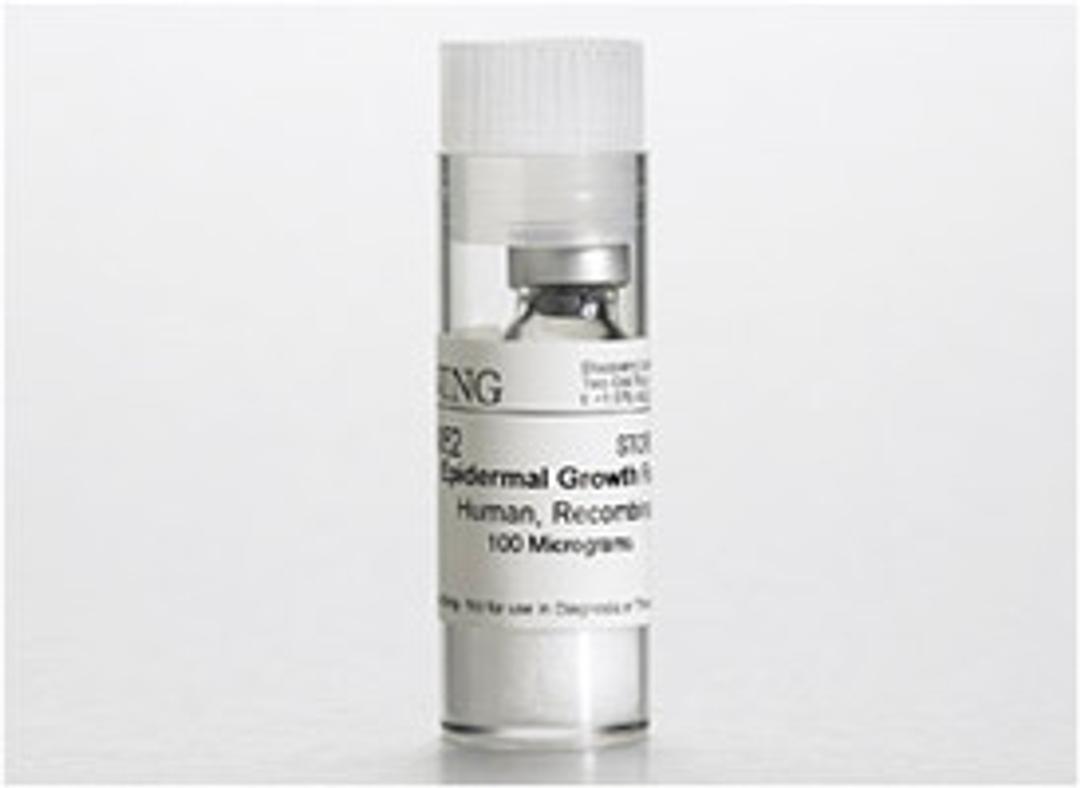 Corning® Epidermal Growth Factor (EGF), Human Recombinant, 100µg, 1/Pack - Corning Life Sciences - Life Sciences