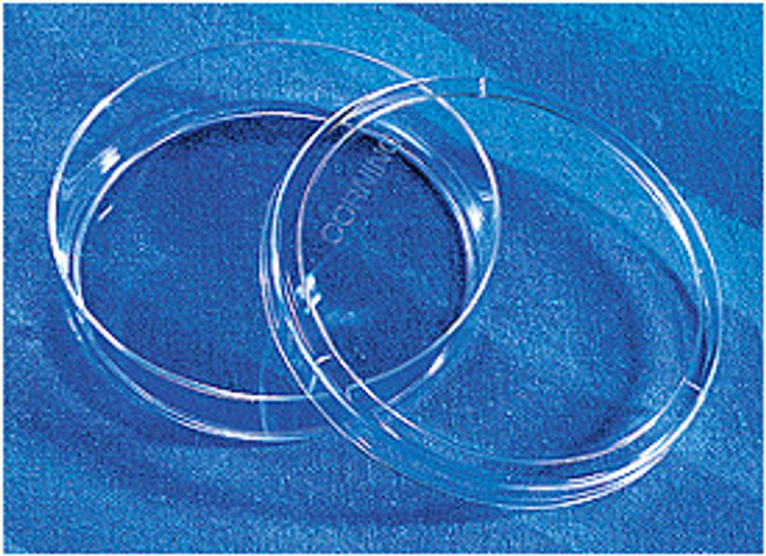 Corning® CellBIND® Surface 100 mm Culture Dish - Corning Life Sciences - Life Sciences