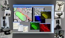 Visitron VisiVIEW High Performance Imaging Software - Photon Lines Ltd - Life Sciences