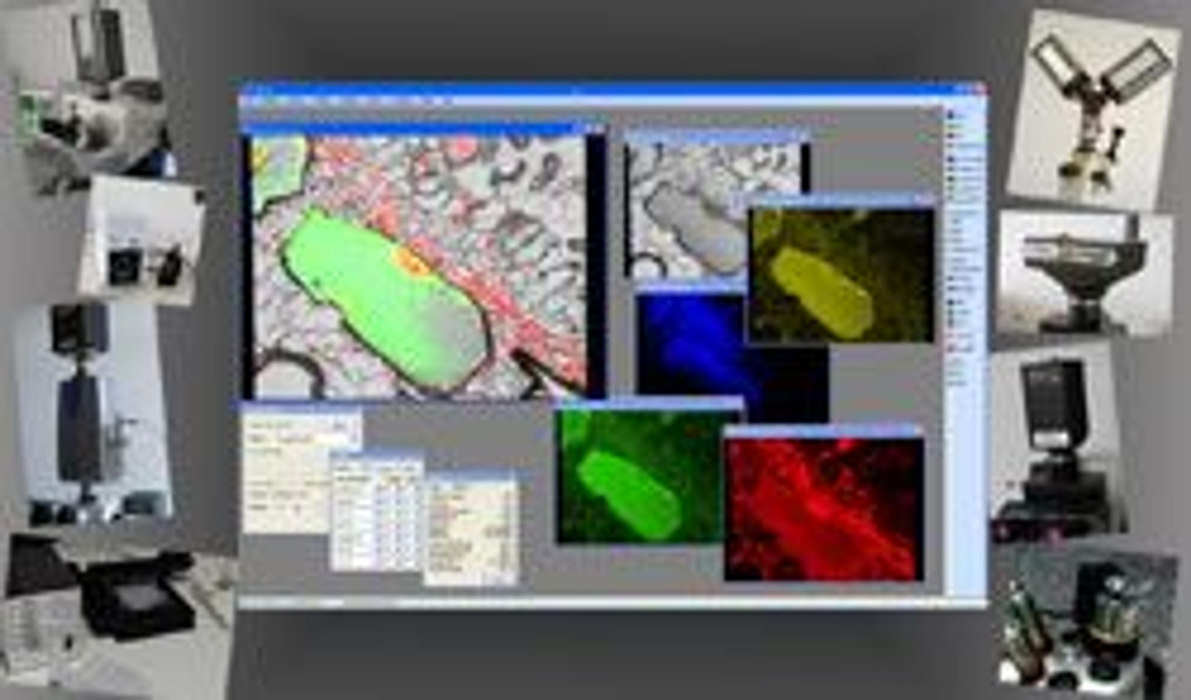 Visitron VisiVIEW High Performance Imaging Software - Photon Lines Ltd - Life Sciences