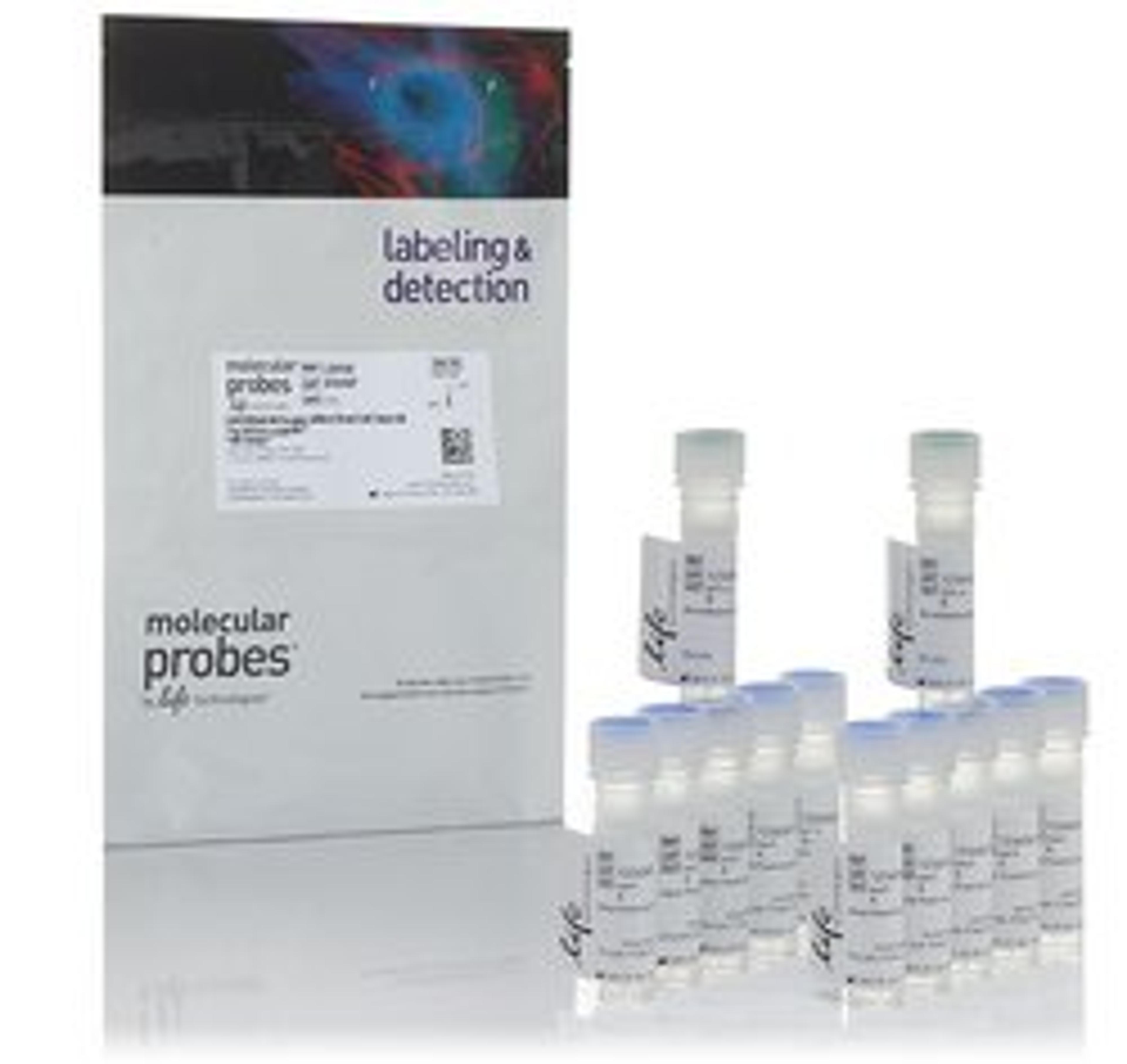 Invitrogen™ LIVE/DEAD™ Fixable Yellow Dead Cell Stain Kit - Thermo Fisher Scientific - Life Sciences