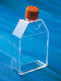Corning® 75cm² Rectangular Canted Neck Cell Culture Flask with Vent Cap - Corning Life Sciences - Life Sciences