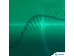 GenScript circRNA - GenScript - Life Sciences