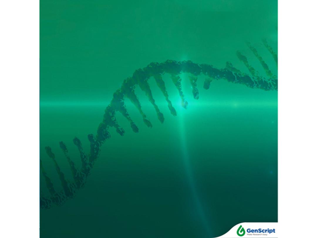 GenScript circRNA - GenScript - Life Sciences