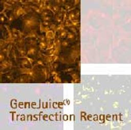 GeneJuice® Transfection Reagent - Merck - Life Sciences