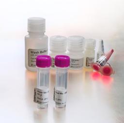 One Lambda LABType® SSO - Thermo Fisher Scientific - Life Sciences