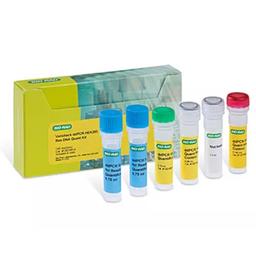 Vericheck ddPCR HEK293 Residual DNA Quantification Kit - Bio-Rad - Life Sciences
