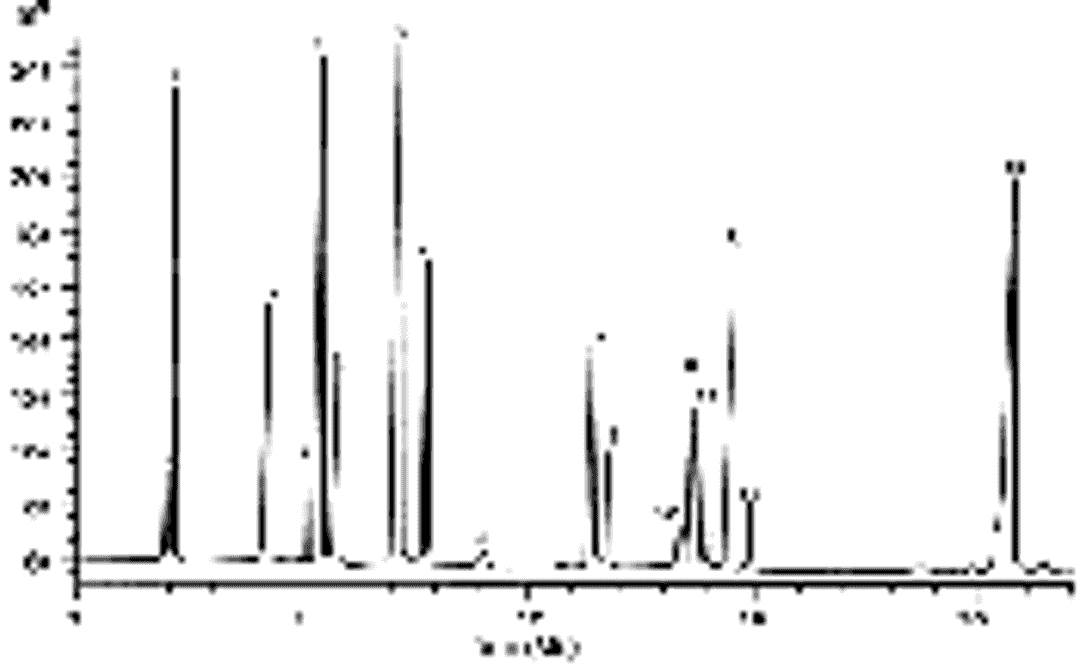 Hypersil™ Amino Acid Columns - Thermo Fisher Scientific - Separations