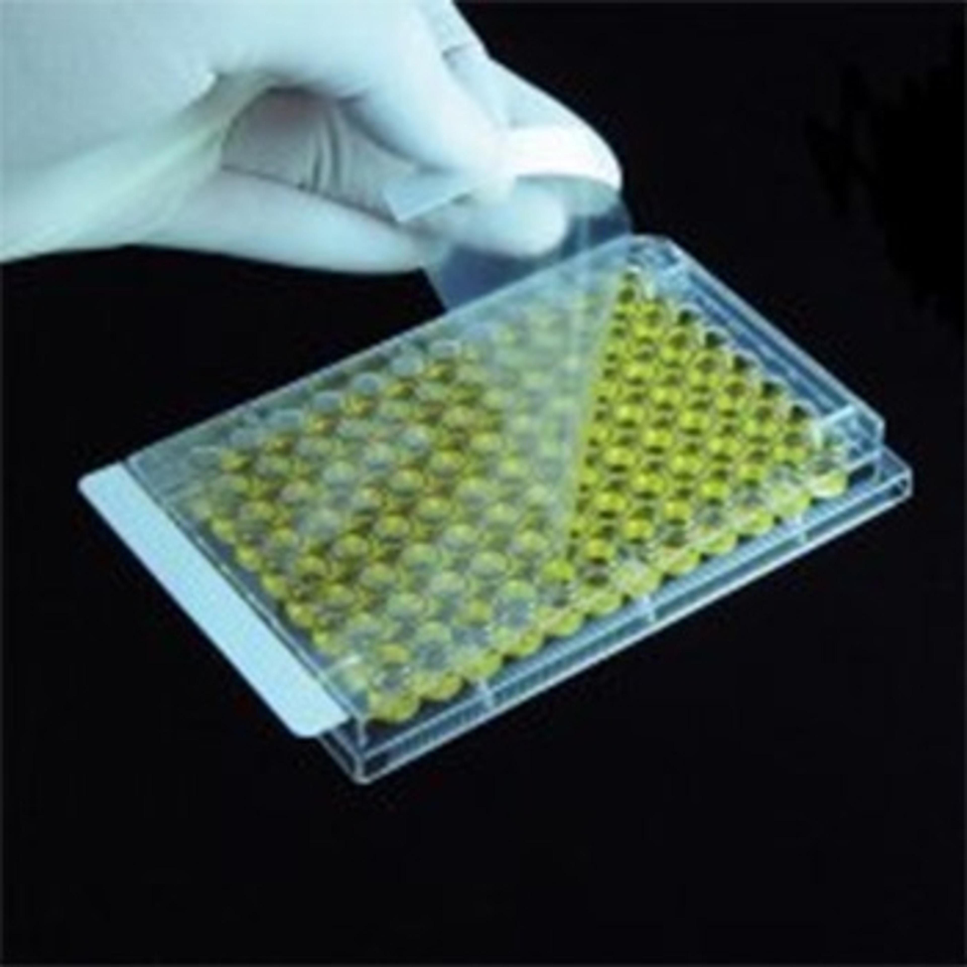 Plate Sealing Film - Alpha Laboratories Ltd - Life Sciences